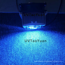 Blue Lighting 50W 460-470nm LED Module